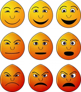 Nine Kinds of Emotions in Mind