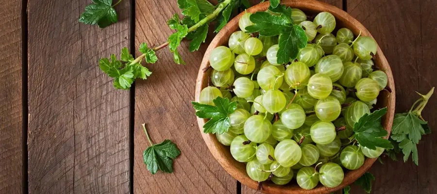 Amla- Indian Gooseberry: 10 Physical Health Benefits, Uses, and Dosage